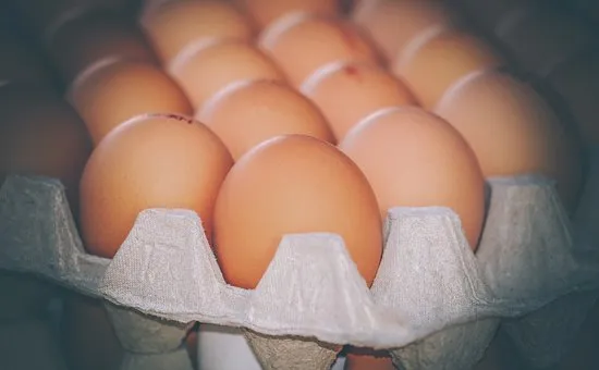 В Якутии планируют выпускать по 100 млн штук куриных яиц ежегодно