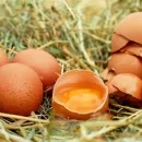 Якутская птицефабрика намерена ежегодно производить до 100 млн яиц в год