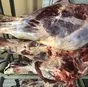 блочное мясо говядины в Усолье-Сибирском 2