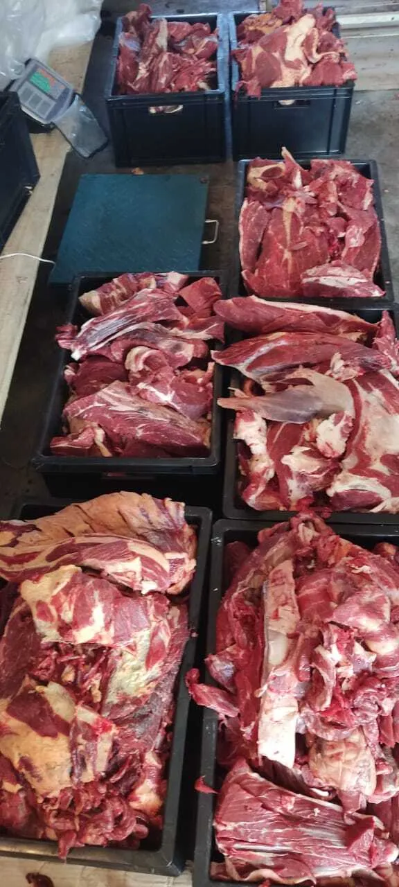 Фотография продукта Конина на кости 